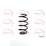 Apec Coil Spring Front (ACS1101)