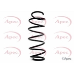 Apec Coil Spring Front (ACS1107)