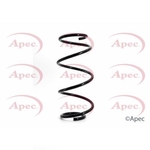 Apec Coil Spring Front (ACS1109)