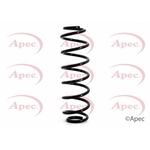 Apec Coil Spring Rear (ACS1116)