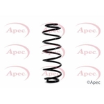 Apec Coil Spring Rear (ACS1117)