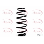 Apec Coil Spring Rear (ACS1118)