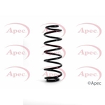 Apec Coil Spring Rear (ACS1119)