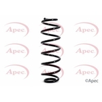 Apec Coil Spring Rear (ACS1121)