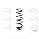 Apec Coil Spring Rear (ACS1126)