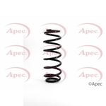 Apec Coil Spring Rear (ACS1127)