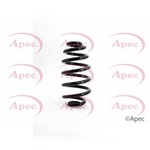 Apec Coil Spring Rear (ACS1131)