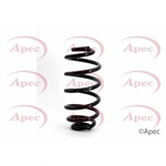 Apec Coil Spring Rear (ACS1132)