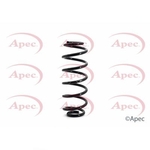Apec Coil Spring Rear (ACS1134)