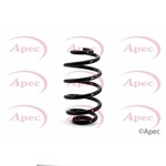 Apec Coil Spring Rear (ACS1151)