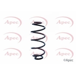 Apec Coil Spring Rear (ACS1199)