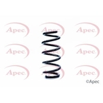 Apec Coil Spring Rear (ACS1201)