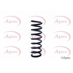 Apec Coil Spring Rear (ACS1224)
