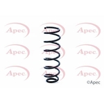 Apec Coil Spring Rear (ACS1299)