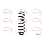 Apec Coil Spring Rear (ACS1302)