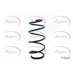 Apec Coil Spring Front (ACS1307)