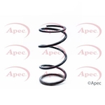 Apec Coil Spring Front (ACS1308)