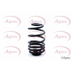 Apec Coil Spring Rear (ACS1312)