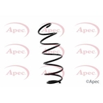 Apec Coil Spring Front (ACS1317)