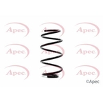 Apec Coil Spring Front (ACS1319)