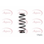 Apec Coil Spring Rear (ACS1323)