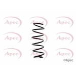 Apec Coil Spring Front (ACS1328)