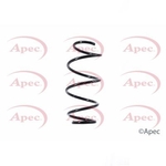 Apec Coil Spring Front (ACS1341)