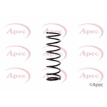 Apec Coil Spring Rear (ACS1342)