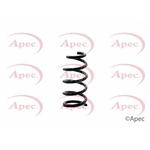 Apec Coil Spring Rear (ACS1343)