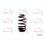 Apec Coil Spring Rear (ACS1346)