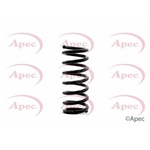 Apec Coil Spring Rear (ACS1347)