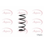 Apec Coil Spring Rear (ACS1348)