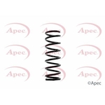 Apec Coil Spring Rear (ACS1349)