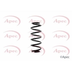 Apec Coil Spring Rear (ACS1350)