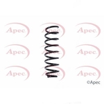 Apec Coil Spring Rear (ACS1354)