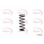 Apec Coil Spring Rear (ACS1355)