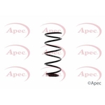 Apec Coil Spring Rear (ACS1357)