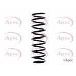 Apec Coil Spring Rear (ACS1360)
