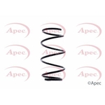 Apec Coil Spring Front (ACS1369)