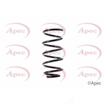 Apec Coil Spring Front (ACS1370)