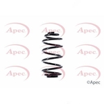 Apec Coil Spring Rear (ACS1371)
