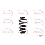 Apec Coil Spring Rear (ACS1372)