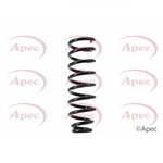 Apec Coil Spring Rear (ACS1374)