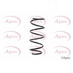 Apec Coil Spring Front (ACS1378)