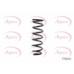 Apec Coil Spring Rear (ACS1379)