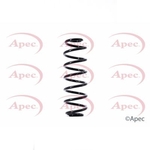 Apec Coil Spring Rear (ACS1380)