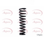 Apec Coil Spring Rear (ACS1382)