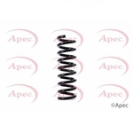 Apec Coil Spring Rear (ACS1383)