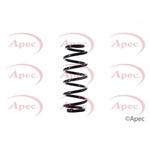 Apec Coil Spring Rear (ACS1384)