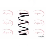 Apec Coil Spring Front (ACS1385)